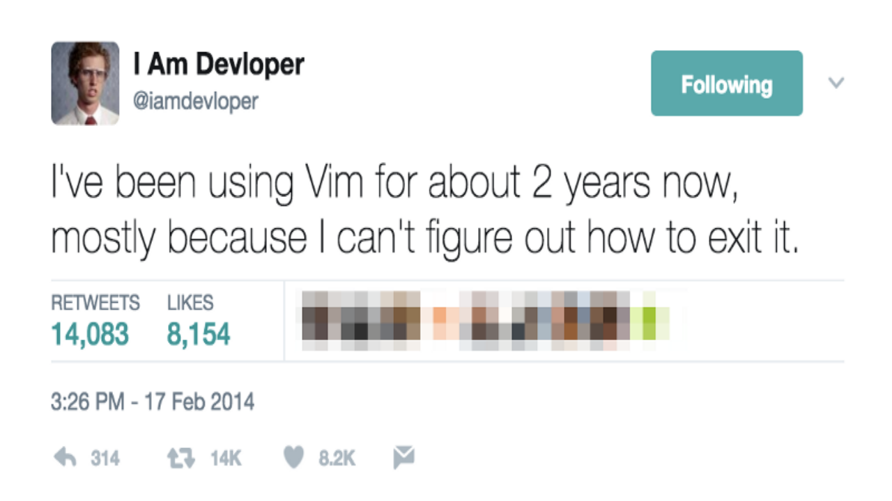 vim.png